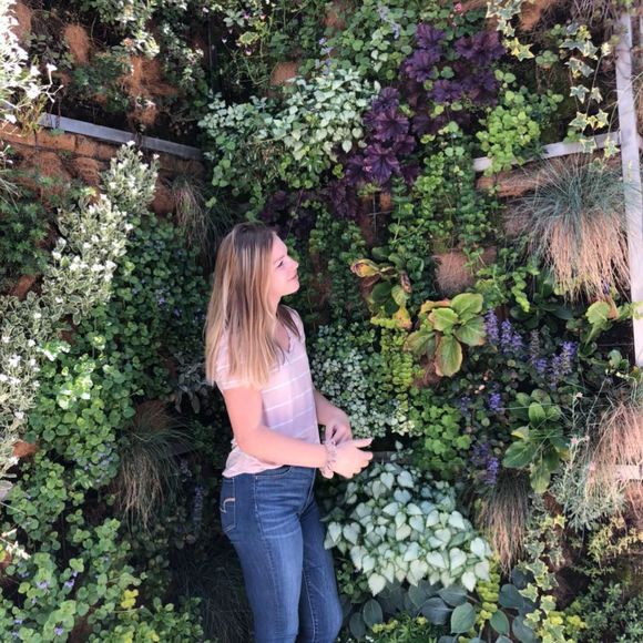 Meet your Posher, Bailey - Picture 1 of 1